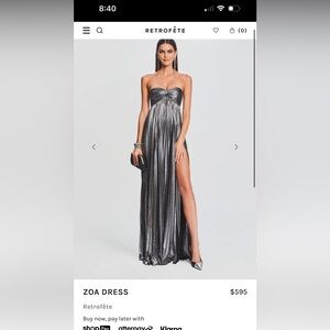 NWT Silver Retrofete Zoa dress